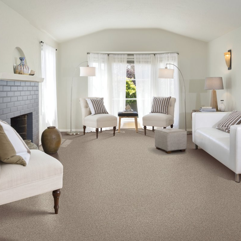 Carpet Depot providing stain-resistant pet proof carpet in Whitmore Lake, and Brighton, MI Tonal Chic I- Corinthian