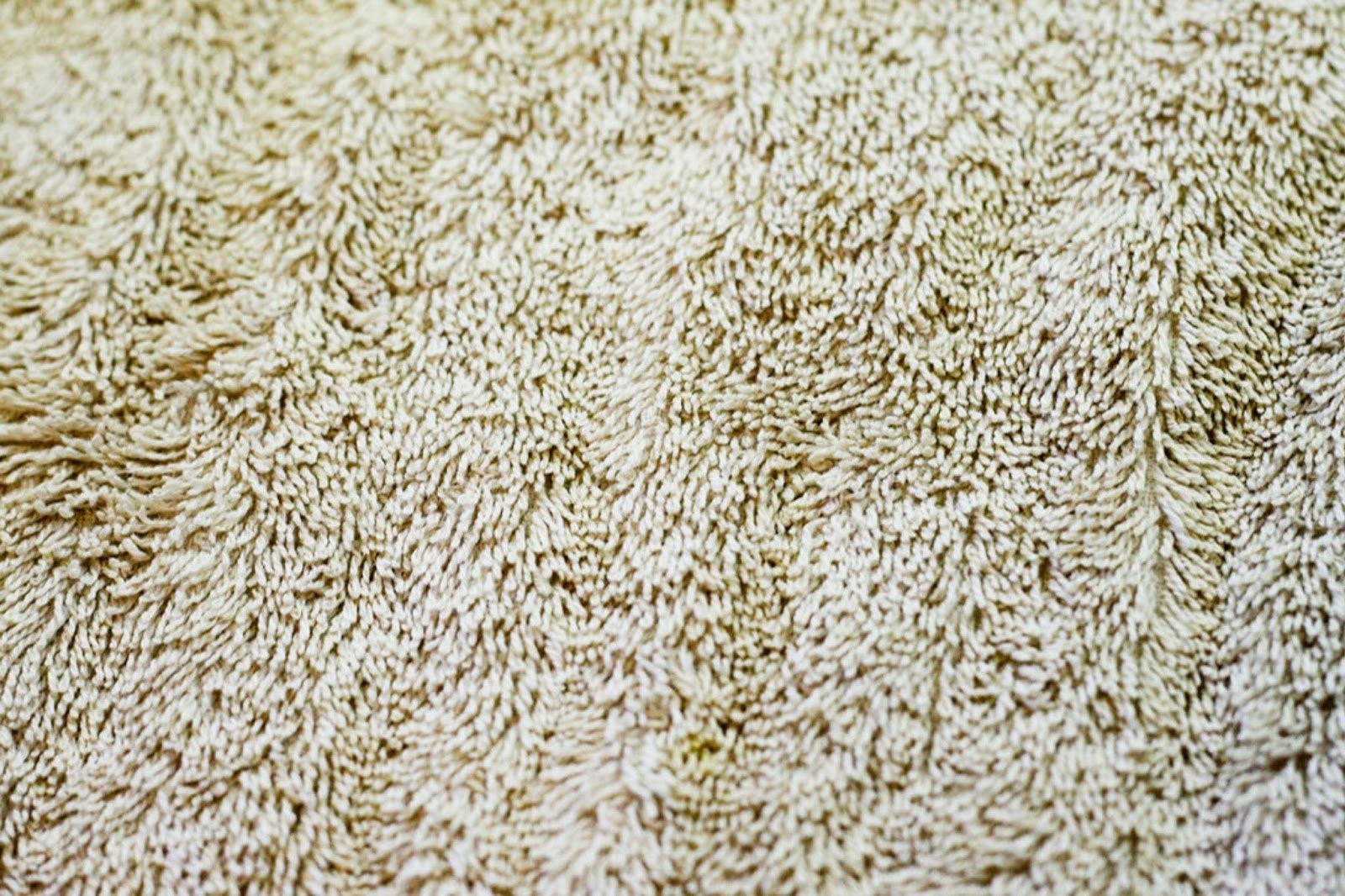 How Long Does Carpet Last?